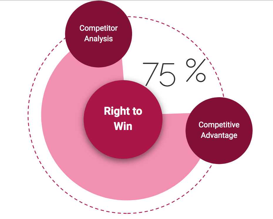 Flanking Strategy: How to Win Against Larger Competitors